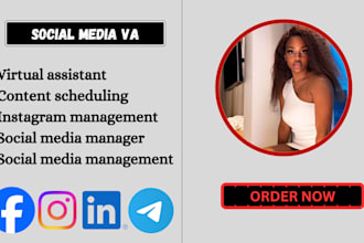 be your virtual assistant and social media manager for instagram