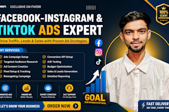be your facebook instagram and tiktok ads expert