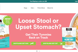design a branded shopify store, ai dropshipping store, shopify website design