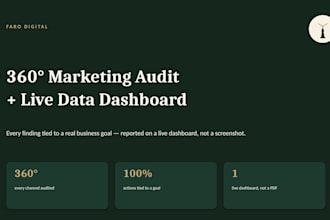 run a 360 marketing audit with a live data dashboard