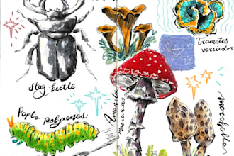 create watercolor and digital scientific illustrations
