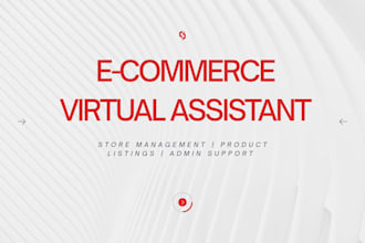be your e commerce virtual assistant and digital operations manager
