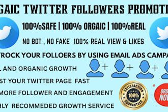 do professional twitter page promotion for organic followers growth using ads