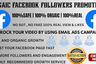 do professional facebook page promotion for organic followers growth using ads