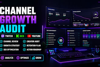 audit and optimize your twitch kick youtube channel for organic growth