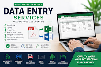 do accurate data entry, microsoft excel, word, and PDF conversion