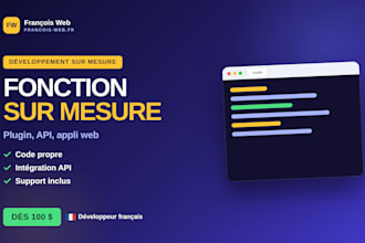 develop a custom wordpress plugin or web application french developer