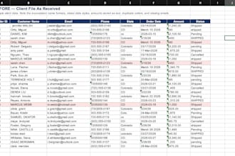 do accurate data entry, cleanup, and formatting in excel or google sheets