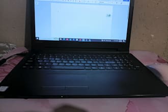 do accurate data entry, typing work, and copy paste for 5 hours
