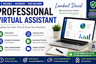 virtual assistant for data entry and web research