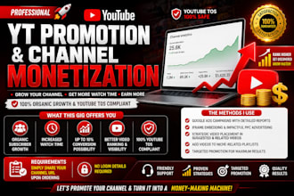 do organic youtube promotion and channel monetization