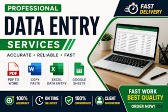 do accurate data entry, copy paste, pdfconversion and typing work