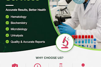 do professional excel data entry, copy paste, and web research work