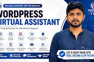 be your wordpress virtual assistant