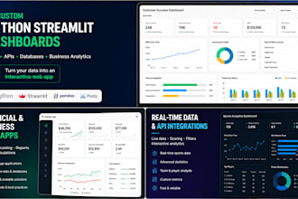 build a custom phyton web app or business application