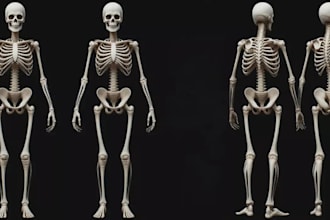 stl 3d skeleton for printing,human anatomy figurine,headbust,3mf colorful statue