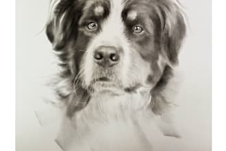custom pet portrait from your photo hand drawn dog cat pencil sketch gift