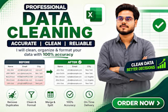 excel data cleaning, formatting and organization