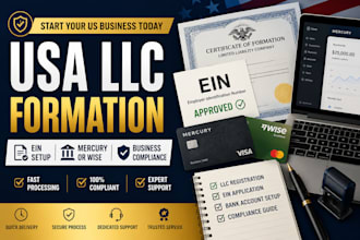 form your USA llc, open mercury or wise account and ensure compliance