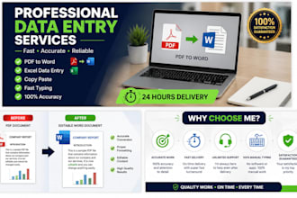 convert PDF to word and do accurate data entry