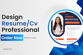 create a professional canva resume CV template