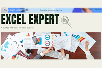 be your expert data entry and excel virtual assistant
