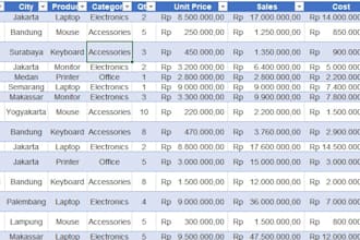 professional data administration and excel support
