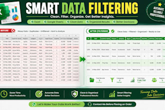 clean, format and organize excel data professionally