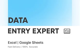 do excel data entry and google sheets work with  accuracy