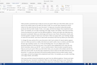 accurately retype your image or scan to word and PDF in 24 hours