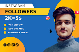 provide you instgram follower low rate and fast delivery