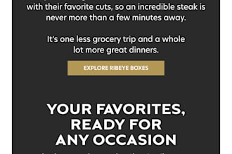 design professional email marketing for your ecommerce brand