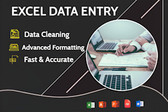 do expert ms excel data entry and formatting