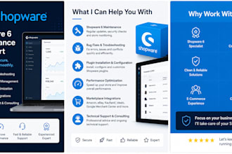 be your shopware 6 360 expert for maintenance and support
