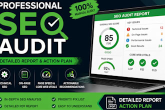 perform a complete website SEO audit and technical analysis