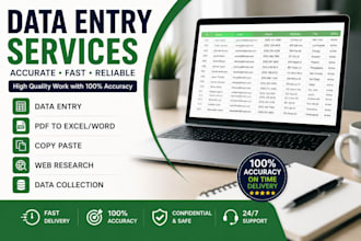 accurate data entry and copy paste services