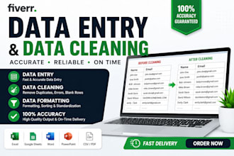 clean, format, merge, and organize excel data