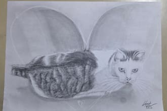 draw realistic pet portrait pencil sketch memorial gifts