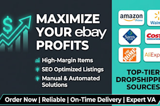 do profitable walmart to ebay dropshipping and product listing