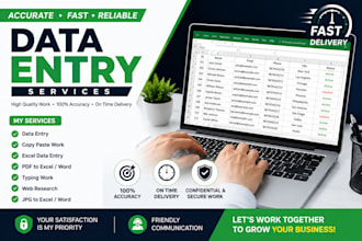 accurate data entry, copy paste, excel and typing work