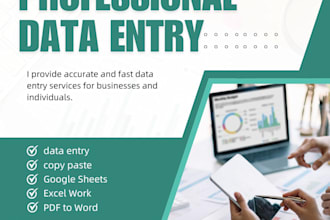 do professional data entry, copy paste, PDF to word and excel work
