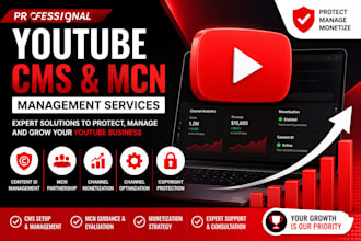 consult on youtube cms, content id, copyright and mcn strategy