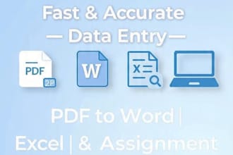 data entry, pdf to word, excel and assignment writing