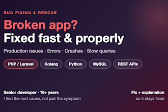 fix bugs in your PHP, laravel, go or python application
