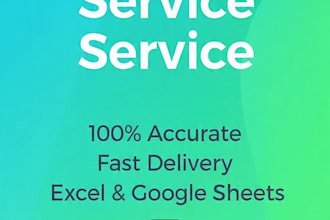 accurate data entry, excel and google sheets work