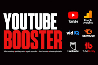 turbocharge youtube video rankings with fast organic promotion