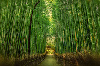 be your personal japan travel assistant and planner