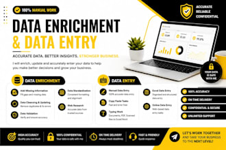 do data entry , data enrichment, data mining