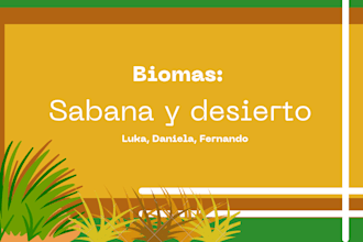 design professional canva presentations for students