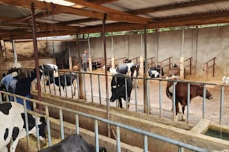 write a professional livestock and agribusiness plan